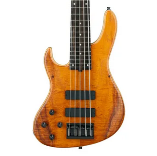 Sadowsky MetroLine 24-Fret Modern Bass, 2025 Limited Edition, 4-String, Fretless - Natural Transparent Satin