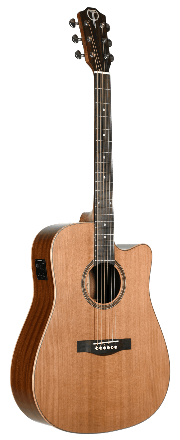 Teton STS105CENT Cedar Top Dreadnought Acoustic-Electric,, Free Shipping