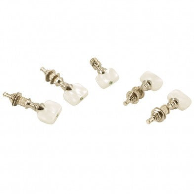 Grover Perma Tension Tenor Banjo Pegs (Set Of 5) With Square Plastic Buttons
