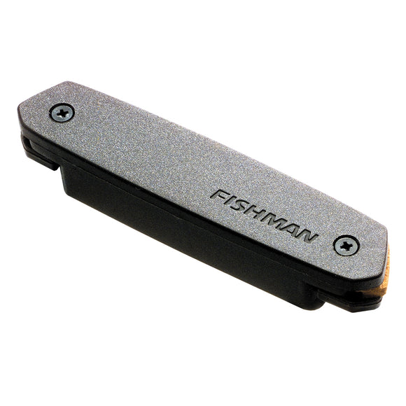 Fishman PRO-NEO-D02