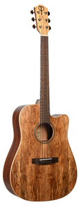 Teton STS000SMSCE Dreadnought, Solid Spruce Top, spalted maple veneer, . Fishman