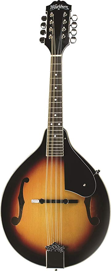 Washburn Americana Series M1S 
