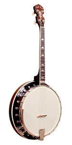 Gold Tone Professional 4-String Irish Tenor Resonator Banjo IT-250R