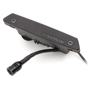 Fishman Rare Earth Magnetic Soundhole Pickup, PRO-REP