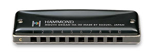 Suzuki Promaster Hammond Key: Lf