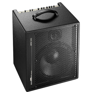 AER 240W Electric Bass Combo Amp w/ 1x12 Speaker & Horn/ Black AMP-TWO Special Order