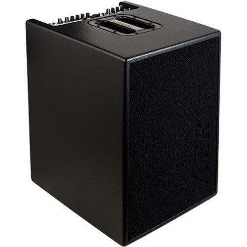 AER 2x100W Acoustic Bass Combo Amp 2 Chan w/ 4x8 Speaker/ Blac BASIC-PERFORMER-2, Special Order