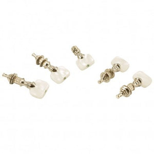Grover Perma Tension Tenor Banjo Pegs (Set Of 5) With Square Plastic Buttons
